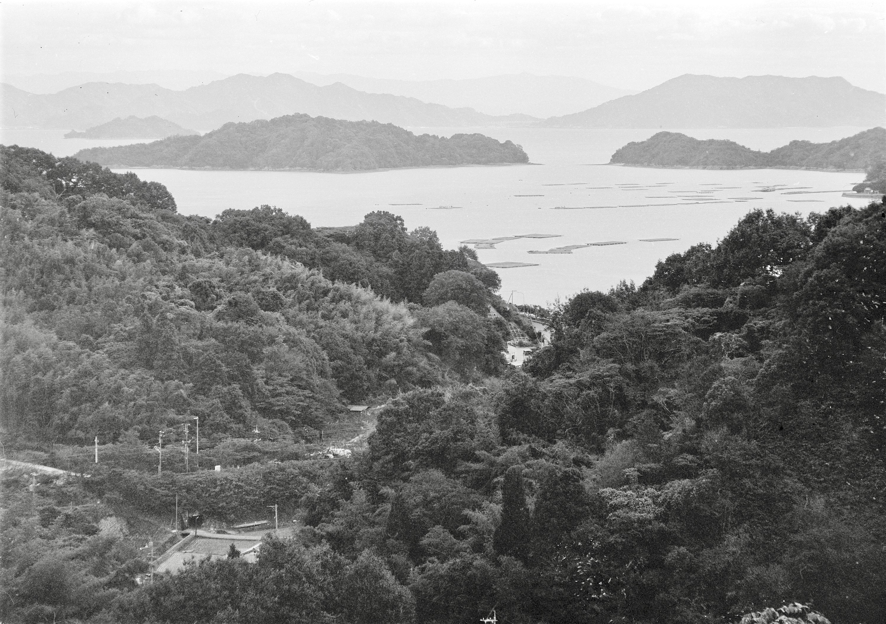 機種別画像掲示板